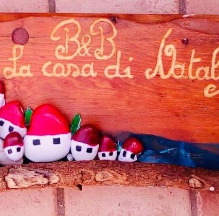 La Casa Di Nataly Bed and Breakfast Fregenae Buitenkant foto