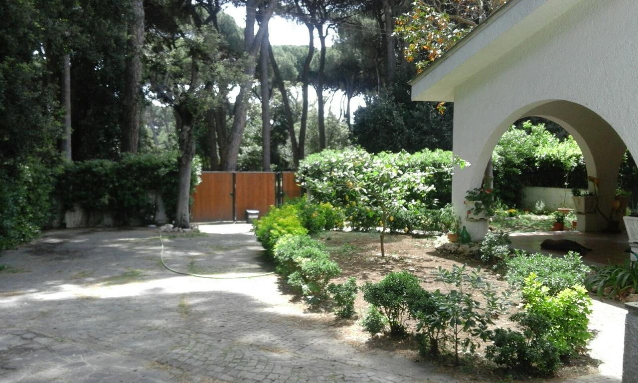 La Casa Di Nataly Bed and Breakfast Fregenae Buitenkant foto