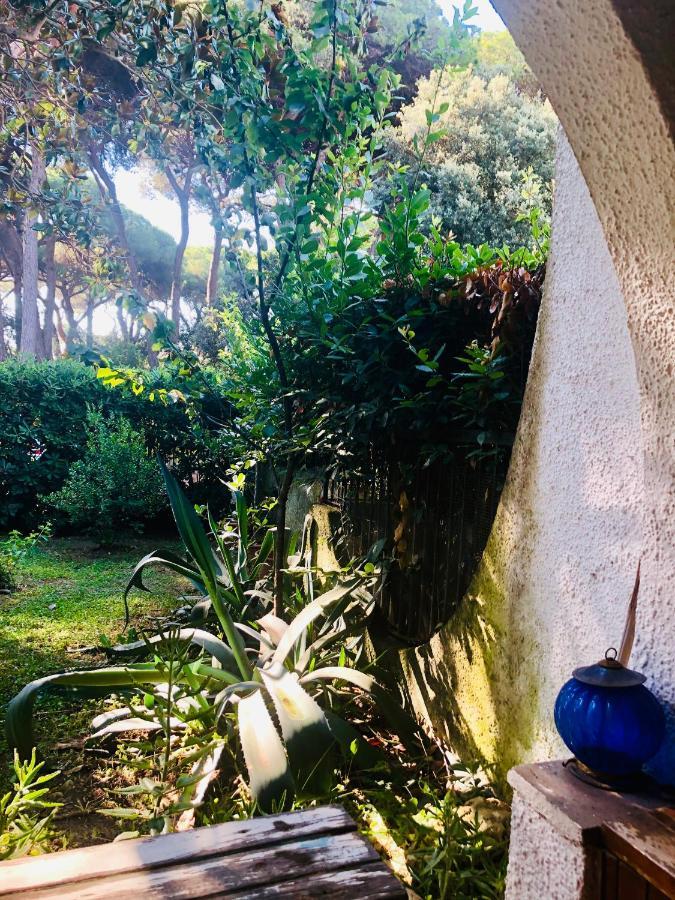 La Casa Di Nataly Bed and Breakfast Fregenae Buitenkant foto